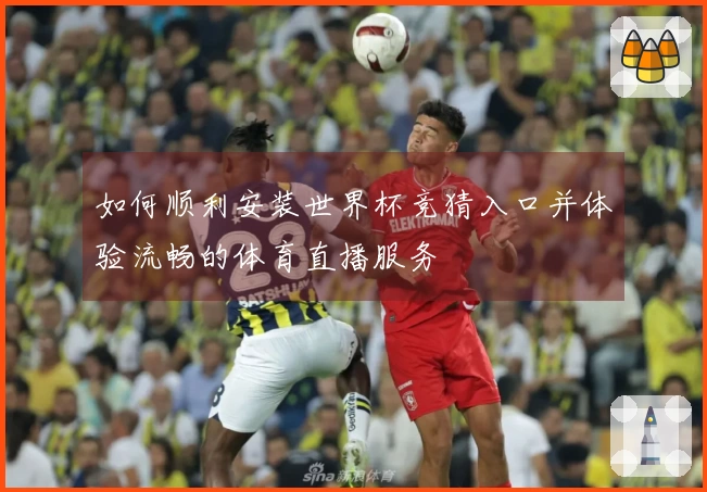 如何顺利安装世界杯竞猜入口并体验流畅的体育直播服务