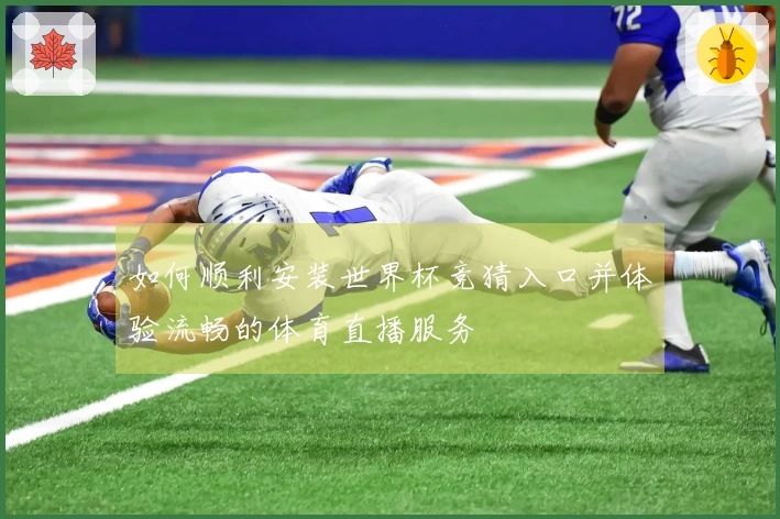 如何顺利安装世界杯竞猜入口并体验流畅的体育直播服务