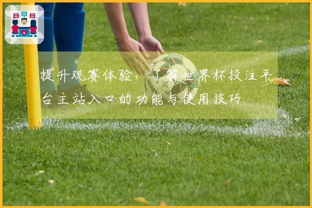 提升观赛体验，了解世界杯投注平台主站入口的功能与使用技巧