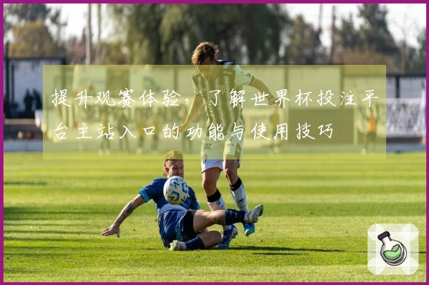 提升观赛体验，了解世界杯投注平台主站入口的功能与使用技巧
