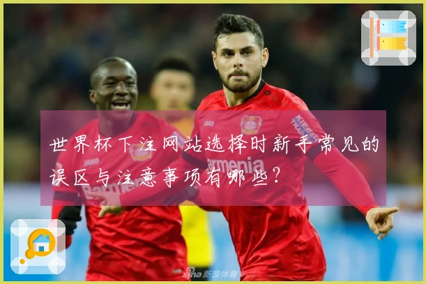 世界杯下注网站选择时新手常见的误区与注意事项有哪些？