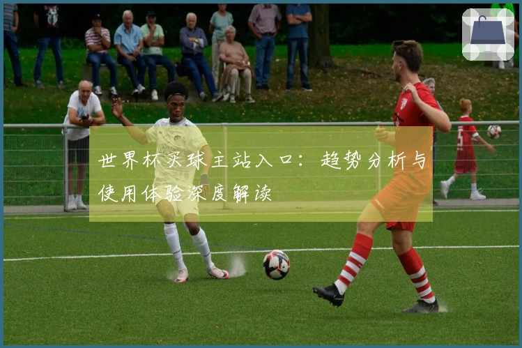 世界杯买球主站入口：趋势分析与使用体验深度解读