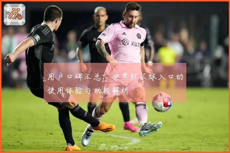 用户口碑汇总：世界杯买球入口的使用体验与功能解析