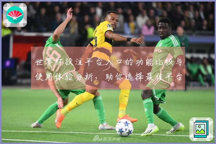 世界杯投注平台入口的功能比较与使用体验分析，助你选择最佳平台