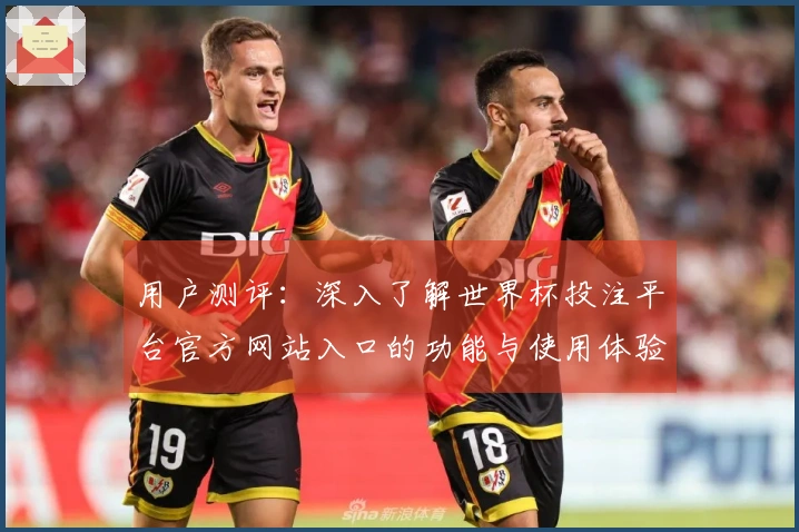 用户测评：深入了解世界杯投注平台官方网站入口的功能与使用体验