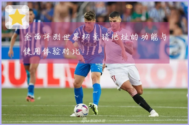 全面评测世界杯竞猜地址的功能与使用体验对比