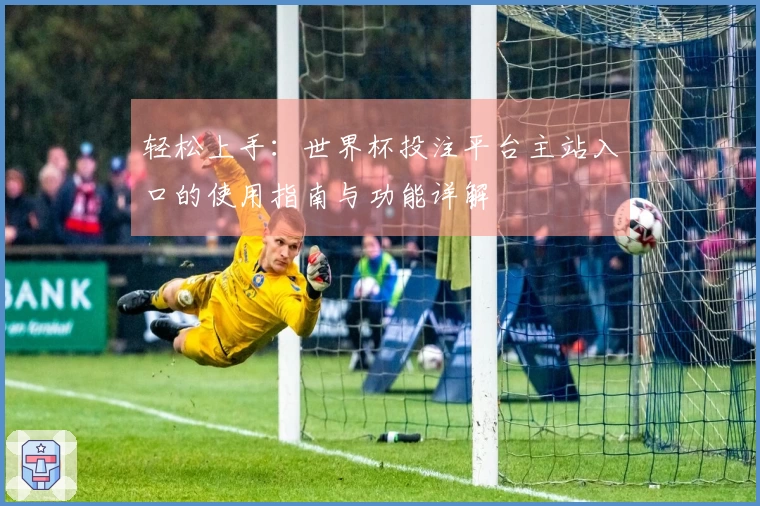 轻松上手：世界杯投注平台主站入口的使用指南与功能详解