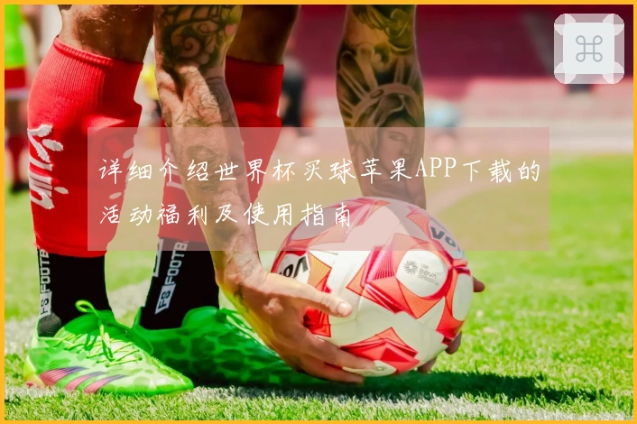 详细介绍世界杯买球苹果APP下载的活动福利及使用指南