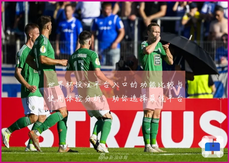 世界杯投注平台入口的功能比较与使用体验分析，助你选择最佳平台